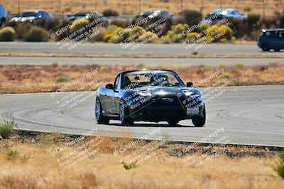 media/Nov-16-2024-Extreme Speed (Sat) [[6587d07cc4]]/Gold Group/Session 2 (Turns 3 and 5)/
